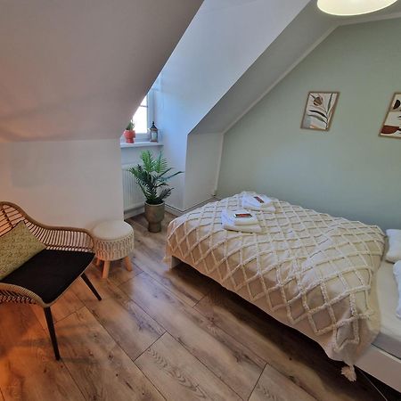 Stary Toruń Apartament Rabianska 14 מראה חיצוני תמונה