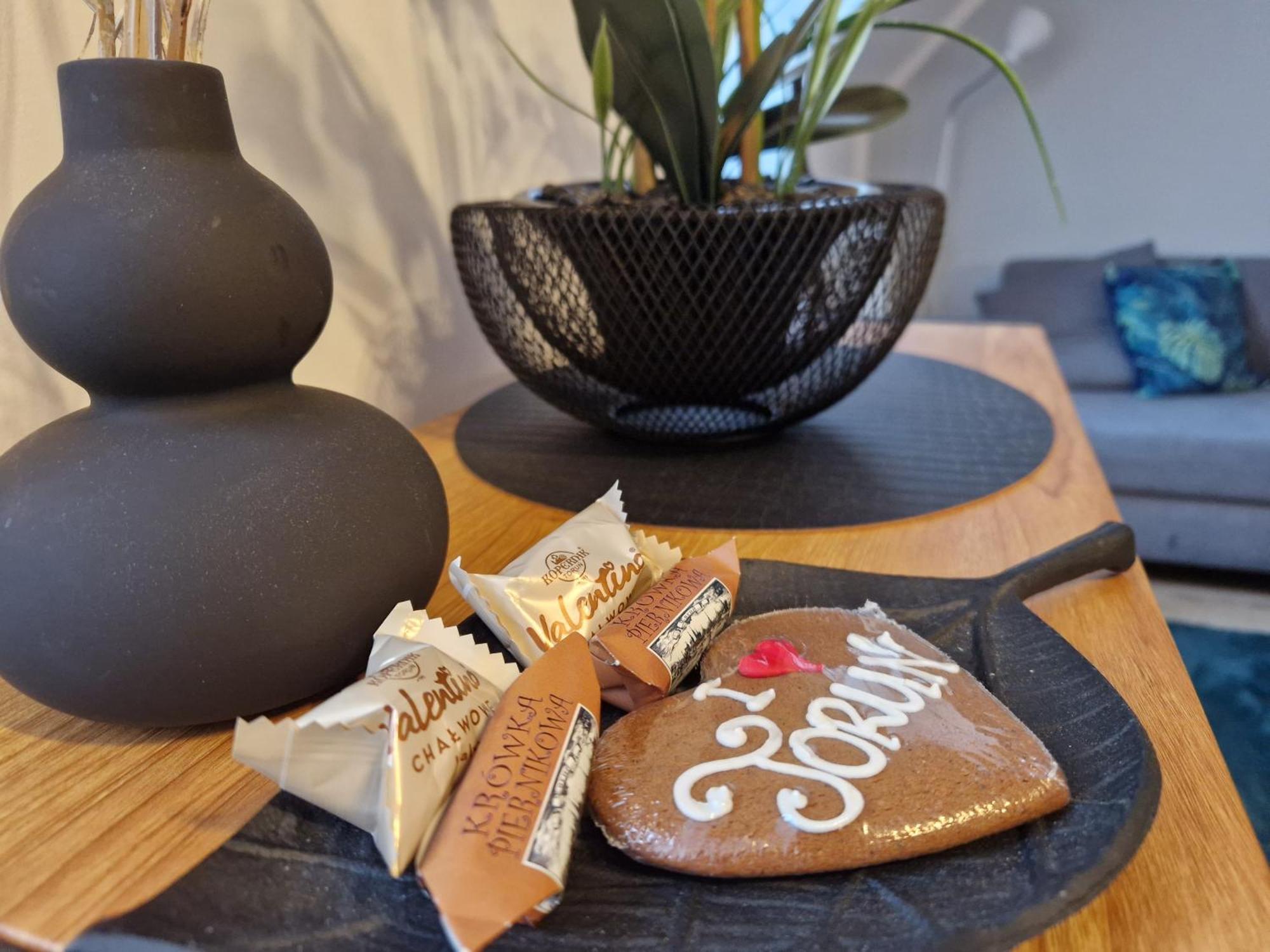 Stary Toruń Apartament Rabianska 14 מראה חיצוני תמונה